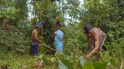 MEJOR CENTRO EN ESPAÑA PARA TOMAR AYAHUASCA