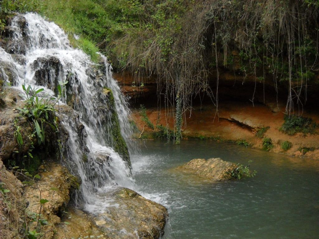 mejor sitio para tomar ayahuasca en españa